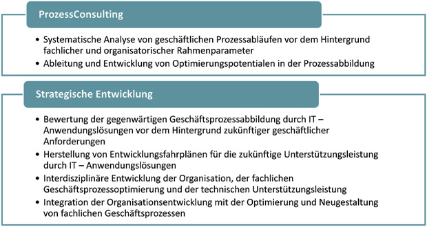prozessconsulting